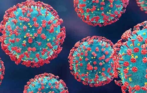 Infections Disease Consultant